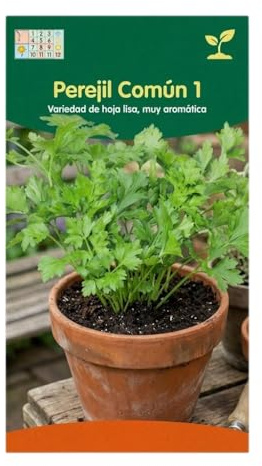 Perejil para Maceta y Jardín – Semillas de Perejil para Huerto Urbano DECOALIVE