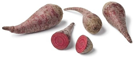 Sachet de graines de Betterave Crapaudine - Sachet de 6 grammes - Graines de style