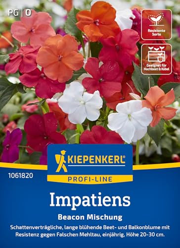 Kiepenkerl Profi-Line Impatienssamen Beacon Mischung 1061820 - Schattenverträglich - Resistente Sorte - Inhalt für 20 Pflanzen - Blumensamen, Saatgut
