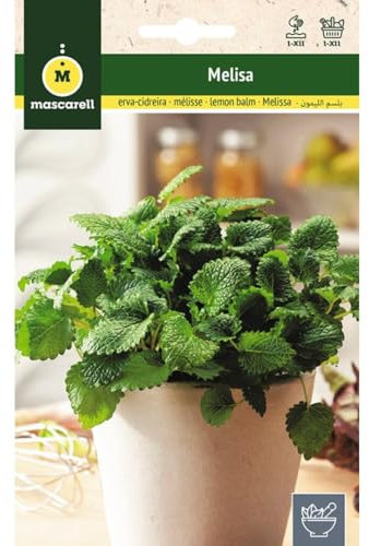 Mascarell Semillas, MELISA, Semillas de Hierbas Aromáticas para Plantar, Crea tu Propio Huerto en Casa, 1 Gramos