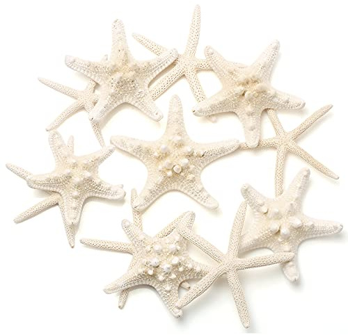 UEIEU 12 PCS Starfish | 2.5-6 Inch Starfish Decor | Natural Bulk Starfish Shells Perfect for Crafts Making Beach Theme Party Wedding Decoration, Home Wall Decor, Christmas Ornaments, Fish Tank