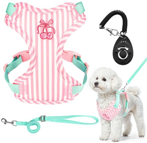 Adjustable Dog Vest Harness and Leash Set,Soft Mesh Puppy Harnesses,with Training Clicker, No-Pull Lightweight Step-in Breathable Pet Cat Vest Harness,Safety and Comfortable,for Small Dogs