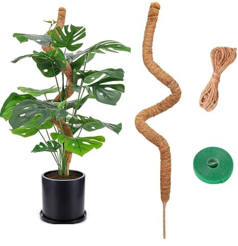 BigKego Monstera Tuteur naturel pour plantes grimpantes 120 cm Bâton de mousse flexible en fibre de coco avec accessoires pour plantes grimpantes