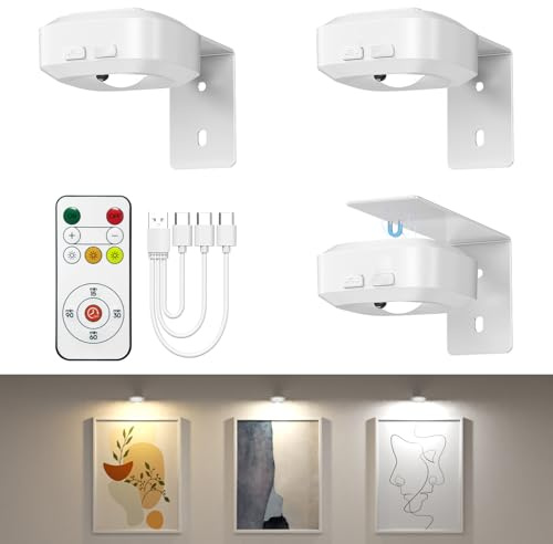 Lightbiz Picture Lights for Wall 3 Pcs, Rechargeable Battery Operated Magnetic Wall Lights with 3 Color Temps, Remote Dimmable Timer Painting Light for Art Display, Frame, Poster