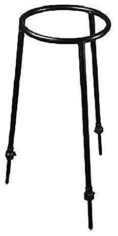 CARP SPIRIT 34CSACS010373