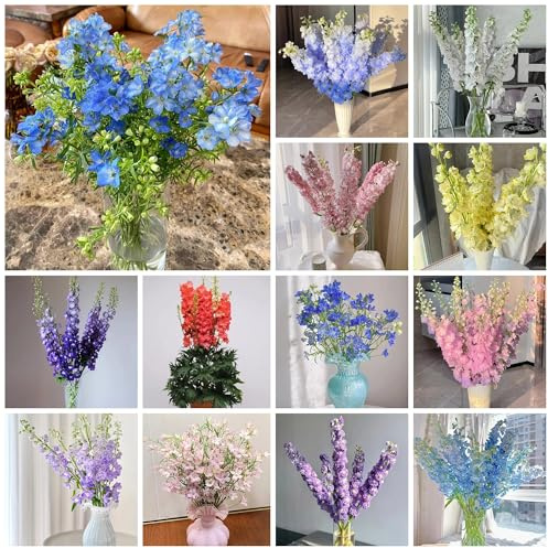 semi di delphinium, delphinium da giardino roccioso resistenti rare, decorazione soggiorno tappezzante perenne resistente da balcone perenni resistenti 500pcs