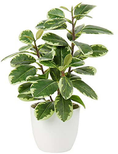 Briful Künstliche Zimmerpflanze Kamelie Kunstpflanze Camellia Japonica im Kunststofftopf Dekorative Seidenblumen Kamelie Kunstblumen für Home Hotel Dekoration