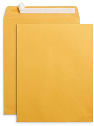 Blue Summit Supplies 100 10” x 13” Catalog Envelopes, Self Seal, For Mailing Catalogs, Magazines and Other Thick Documents, No Window, 28 lb Paper Envelopes, 100 Pack