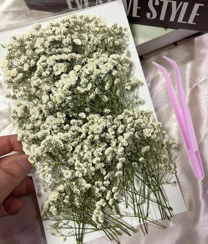 130PCS Dried Pressed Baby's Breath Flowers with Tweezer, Real Natural Dried Mini White Gypsophila Flowers for Resin Making Wedding Card Art Craft DIY Home Party Decor