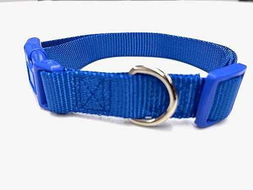Hundehalsband, Nylon (XS, Blau)