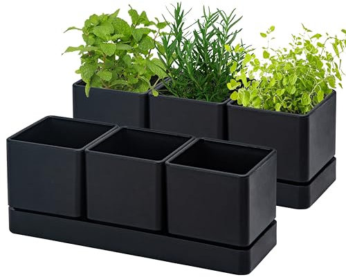 D'vine Dev Kräutergarten Pflanzgefäß Set, Kunststoff Pflanztöpfe mit Drainage und Untersetzer, Indoor Sukkulenten Kaktus Gemüsetopf für Fensterbank, Garten Balkon, Schwarz, 2er Set, 76-V-B-2