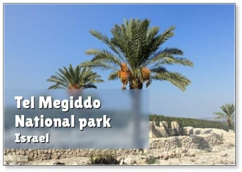 Date Palms Amid The Ruins of Megiddo. Tel Megiddo National Park, Israel, Fridge Magnet