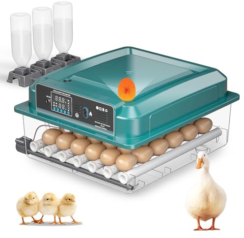 Incubadora automática para 36 huevos, 4 modos automáticos, Incubadora eléctrica - Volteo automático y suministro automático de agua - Control de temperatura inteligente - Doble alimentación (A)
