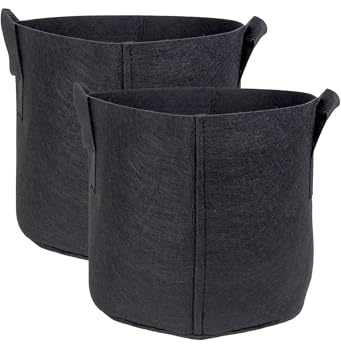 INTIRILIFE 2X Sacchetto di piantagione in Tessuto di Pile 11 Litri -3 galloni 25 x 22 cm- Vaso per Piante con Maniglie per Il Trasporto per Giardino, Serra - Sacchetto per fioriera, per Piante