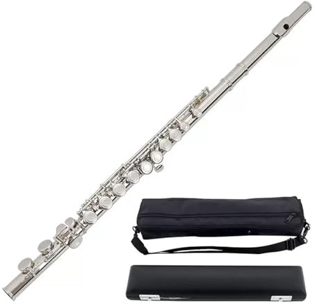 tvärflöjt instrument Nybörjarflöjt Professional Performance 16 stängt hål