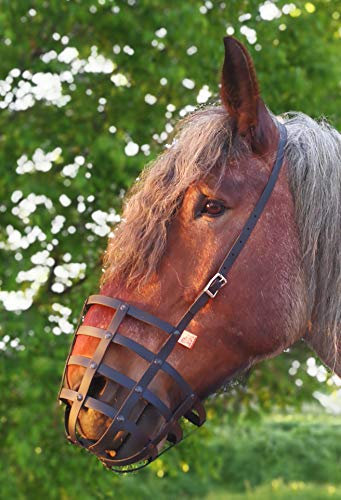 Heavy Horse Parts Fressbremse Strong Kaltblut L mit Kehlriemen und Standartbodenplatte
