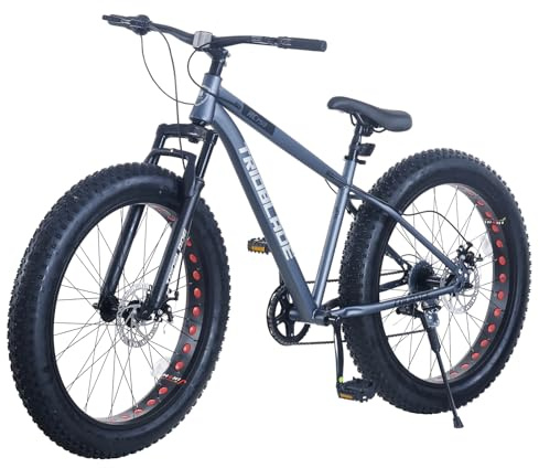 BSETSEL 26 Inch Fat Tyre Wheels Mountain Bike, 7 Speed Gear, Dual Disc-Brake, All-Terrain Bicycle with Front Suspension for Adults Youth Men Women (Grey)