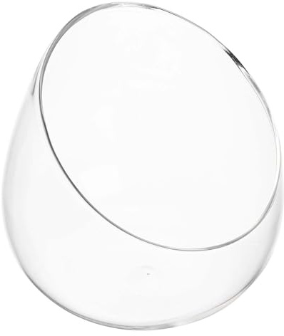 POPETPOP Bol en Verre Biseauté Transparent pour Plantes Succulentes – Terrarium Écologique Diamètre 15 CM – Décoration de Bureau et Intérieur – Pot Hydroponique Moderne et Compact