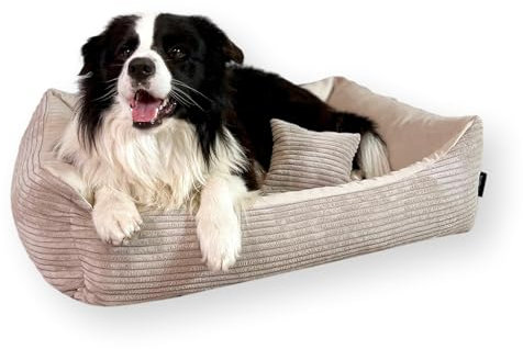 4L Textil Molly Kuscheliges Cord Hundebett Beige Hundekorb mittelgroße Hunde Cord Hundekissen flauschig Hundekörbchen Cord Beige (100x80 cm, Beige)