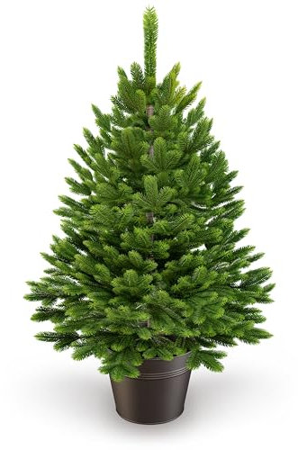 ArtiTree - Künstlicher Weihnachtsbaum 40cm im Topf - Christmas Tree für Innen und Außen, Kunstlich Baum für Weihnachtsdeko, Realistische Optik
