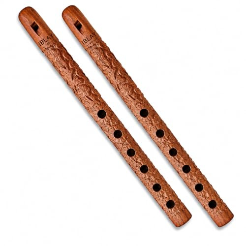Indian Glance Traditional Wooden Flute Great Sound Woodwind Musical Instrument - Gift Flute for Kids (Set of 2)
