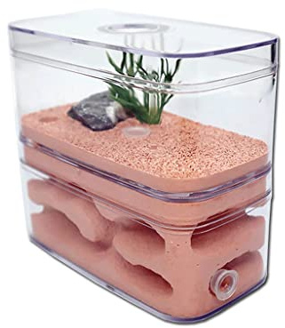 Karriter Ant Farm - Castillo de hormigas fácil de observar yeso ecológico natural, casa de granja de acrílico transparente para taller, terrario de hormigas fácil de observar
