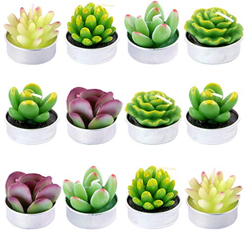 Swpeet 12Pcs Decorative Succulent Cactus Tealight Candles Kit, Cute Smokeless Succulent Plants Perfect for Candles Festival Wedding Props and House-Warming Party (N0.8-Candle)