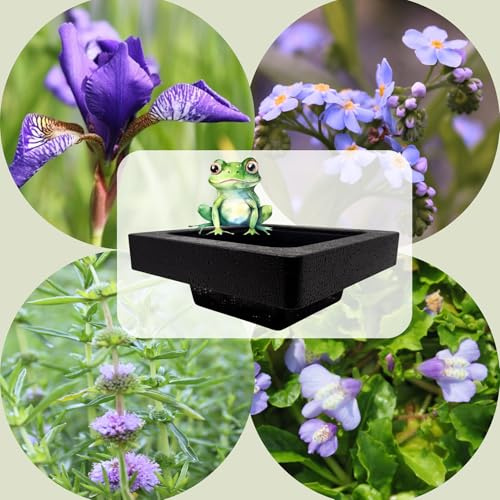 WASSERPFLANZEN WOLFF - FROG-ISLAND blau- SCHWIMMINSEL inklusive Pflanzen - REIHERSCHUTZ - 4er-Mix mit Pflanzinsel - QUALITÄTSSTAUDEN im Pflanzkorb - Frosch-Insel für Gartenteich