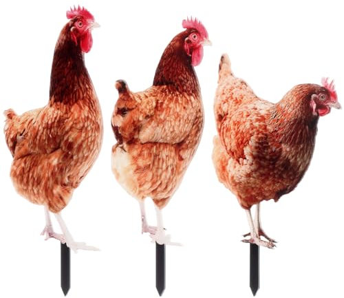 Lot de 3 figurines de jardin en forme de poule - Décoration de jardin - En acrylique - Statue de jardin - Sculpture de clôture - Décoration de pelouse - Cour d'Halloween (carte plate)