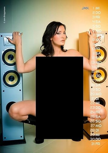 Verschiedene Pin-Up Kalender P- Girls 2026 (A4)