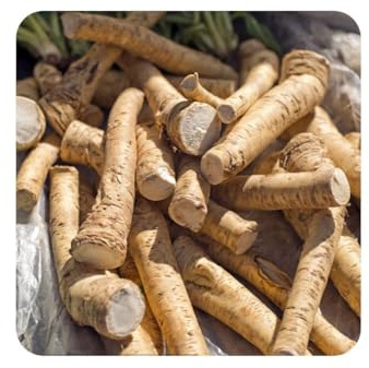 semi di rafano biologici esotiche, giardino interno, tappezzanti, varietà antiche resistenti 200pcs