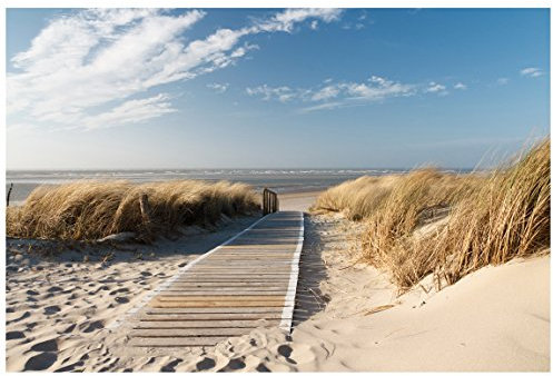 Fensterfolie Sichtschutz Fensterbild Ostsee Strand Aufkleber 54 x 81cm
