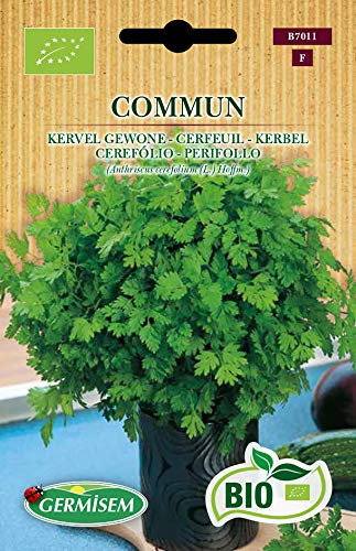 Germisem Bio Graines Cerfeuil COMMUM