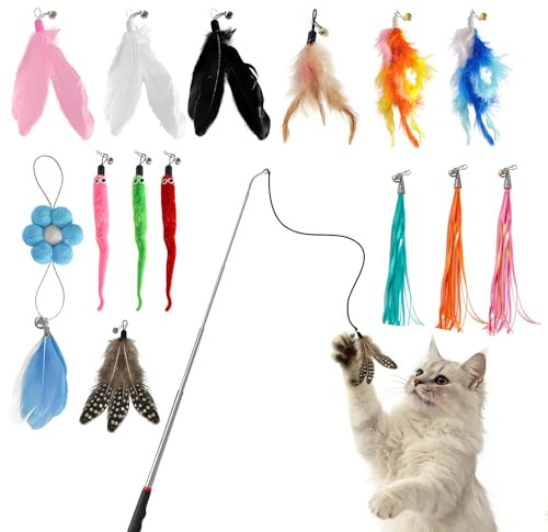 QINGWANGDA Cat Wand Toy 15PCS 1 Stainless Steel Cat Wand and 14 Assorted Teasers Interactive Cat Toy Cat Toys for Indoor Cats Adult& Kittens Feathers Cat Toys