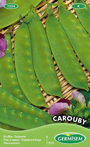 Germisem Carouby Graines de Pois à Sucre 100 g