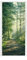 MuchoWow© Türtapete Selbstklebend Türposter Garten Tür Tapeten Wald - Weg - Sonne - Bäume - Grün - Natur - 75x205 cm