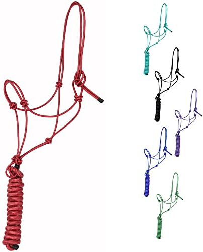 Majestic Ally Cabestro de entrenamiento de poliéster rígido de 1/4 pulgadas con cuerda de plomo a juego de 10 pies para caballos, completo (rojo, matrimonial)