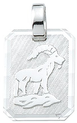Stjärntecken hänge stenbocken i 925 äkta silver, Sterlingsilver