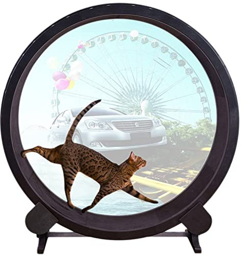 ANXYYDS Laufrad for Katzen – Laufband for Haustiere, Klettergerüst for Haustiere,Katzenlaufrad Cat in Motion - Anti-Quetsch
