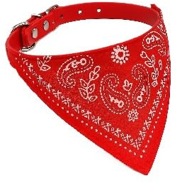 Collier réglable pour Chat – Léger, Confortable et sécurisé – Idéal pour intérieur et extérieur – Tour de Cou 20-26 cm – Design élégant pour félins (Rouge)