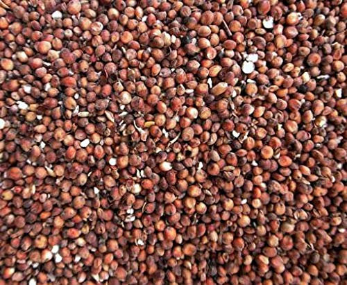 Eurtial Milokorn rot 5 kg für Tauben, Großsittiche, Papageien und Nager