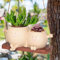 LASTOOLS Hanging Planter Swing Face Plant Pot Resin Cute Flower Pot for Indoor and Outdoor Succulent String of Pearls Plant with Drainage Decorative for Home Office Balcony Garden Gift Ideas