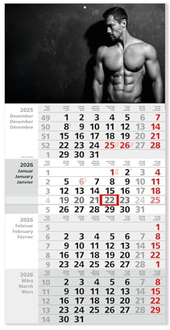Timr calendario 4 mesi 2026 - calendario da parete 4 mesi con cursore - 65,5 cm calendario quadrimestrale multilingue D/GB/F I motivo uomo fotografia artistica di nudo elegante I tr369