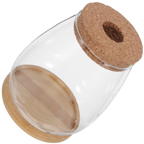 Angoily Lot de 2 Sets de Vases Hydroponiques en Verre Grand Format avec Bouchon en Liège et Plateau en Bambou – Conteneurs pour Plantes Hydroponiques, Propagation de Boutures et