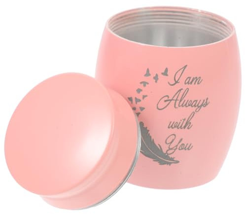 FUTUREORYY Urne à Cendres pour Animaux de Compagnie Boîte de Rangement Cendres de Votre Urne Cérémonielle Souvenirs pour Animaux