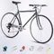 700C Rennrad, Single Speed Retro City Stadt Fahrrad, Rahmen aus Kohlenstoffstahl, Leichtes Fahrrad für Mädchen Jungen Herren und Damen E,21 Speed