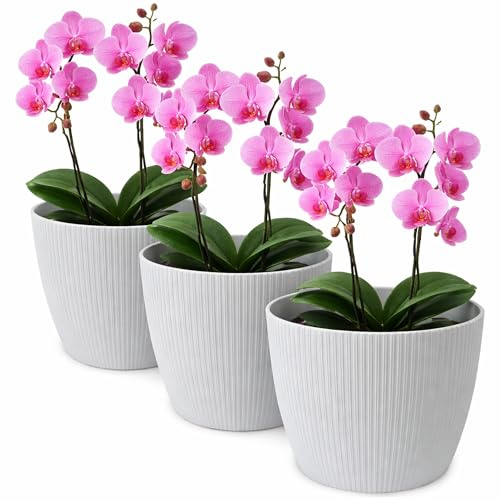 TULMERO Blomkruka matt, planteringskruka av ytterkruka plast dekorativ kruka för, stora växter 3 x blomkruka set, blomkruka örtkruka, (3-pack) grå, ø 19 cm