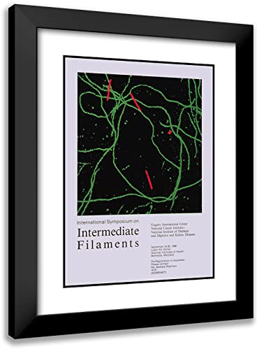 ArtDirect National Institutes of Health 18x24 Black Modern Frame and Double Matted Museum Art Print Titled - International Symposium on Intermediate Filaments (1986)