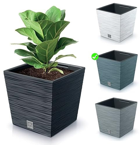 rg-vertrieb Blumenkasten Blumenkübel Blumentopf Pflanzkübel Quadrat Furu Low Tannennadeln Design mit Einsatz Struktur (300 Blau)