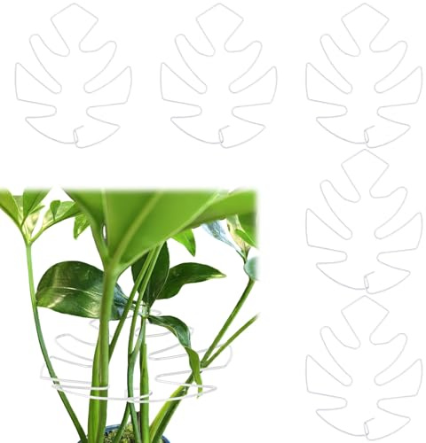 Fnaobai Set di 5 supporti per steli di tartaruga, in bambù, per piante rampicanti, per interni, foglie di Monstera, accessori di supporto per piante per giardini all'aperto, mantiene le piante